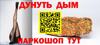 индика Будённовск